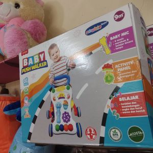 Baby Push Walker 9m+