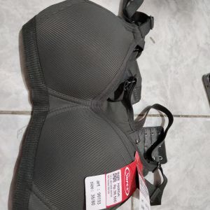 BH sorex 99183