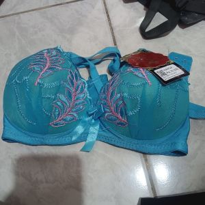 BH Qiaomengly Size 34/75
