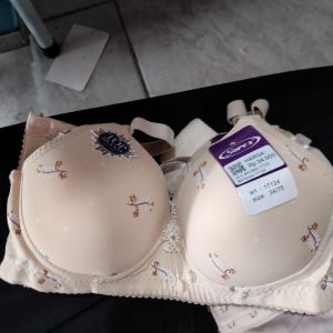 BH sorex 17124