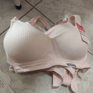 BH Sorex 99175
