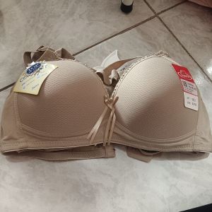 BH Sorex 9852