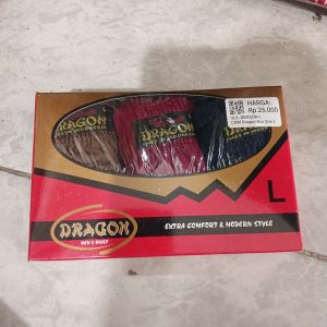 CD Dragon Box Size L