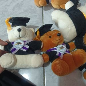 Boneka Bear Junior Toga/S