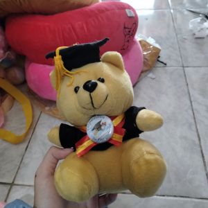 Boneka Bear Toga S