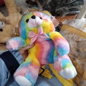 Boneka Tas Bear Rainbow
