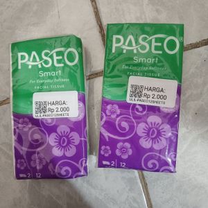 Tisue Paseo 12 Sheets