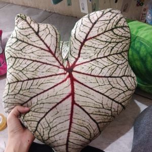 Boneka Bantal Daun