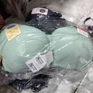 Sorex/ Polos Hijau