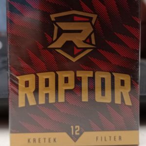 RAPTOR