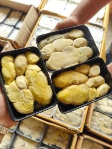 Duren 1/ 10box