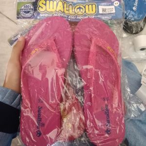 Swallow/9.5