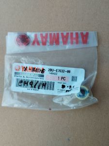 Roller Xride standart ( 8gram ) YGP