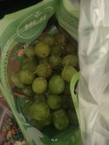 Anggur hijau shine Muscat 500g