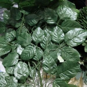 daun hias