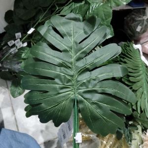 daun hias