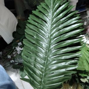 daun hias