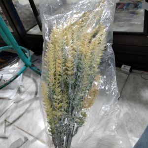 daun hias