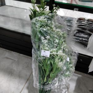 daun hias