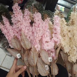 Bunga Hias