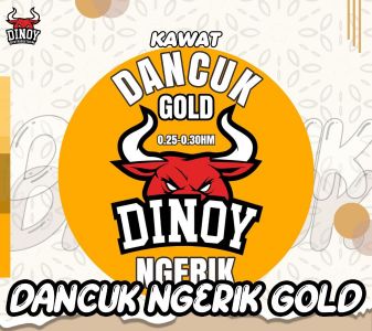Kawat Dancuk Gold For Aio 