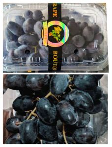 Anggur hitam kantong