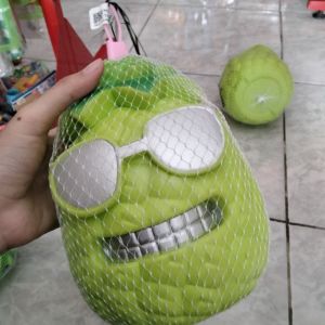celengan nanas