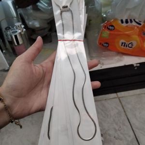 kalung titanium silver 