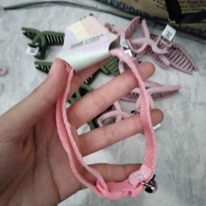 kalung hewan