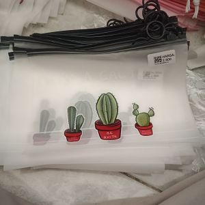 Ziplock Cactus