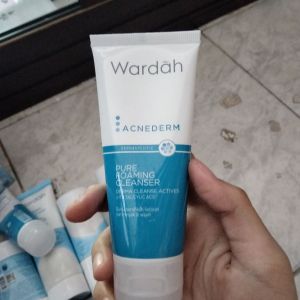 Wardah Acnederm Pure Foaming Cleanser