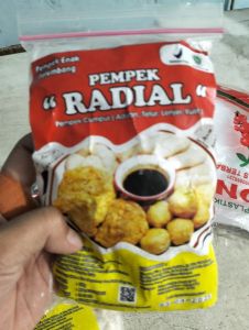 Pempek radial isi 10