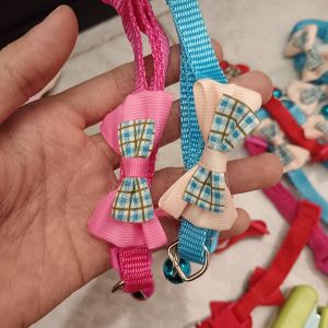 Kalung Kucing Pita 