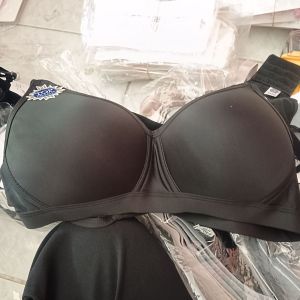 Bh Sorex 9815