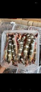 Udang windu