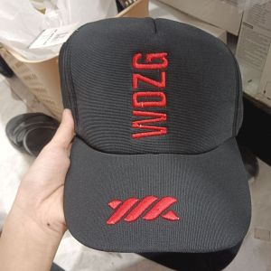 Topi