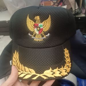 Topi