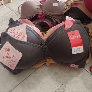 BH Sorex 17228