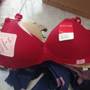 BH Sorex 17227