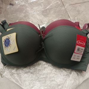 BH sorex 9853