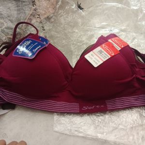 Bh Sorex 65003