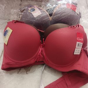 BH Sorex 3262