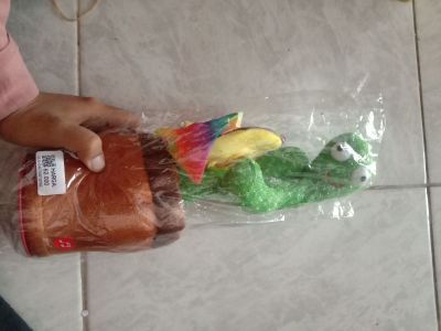 Ulil - Mainan - Cactus Goyang