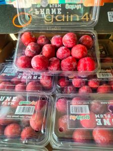 Plum 