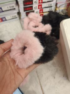 Ikat Rambut Bulu
