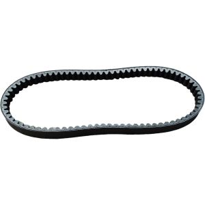 Vanbelt only Mio J YGP