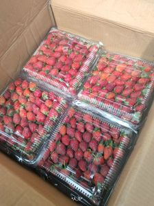 Strawberi box