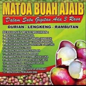 Matoa 1kg