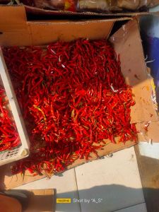 Cabe rawit 1kg