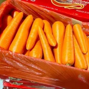 Wortel 1kg